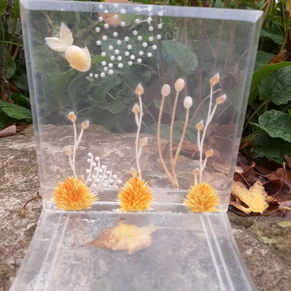 RARE vintage mcm lucite bookends - Picture 2 of 3